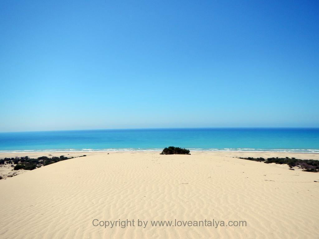 exceptional beaches