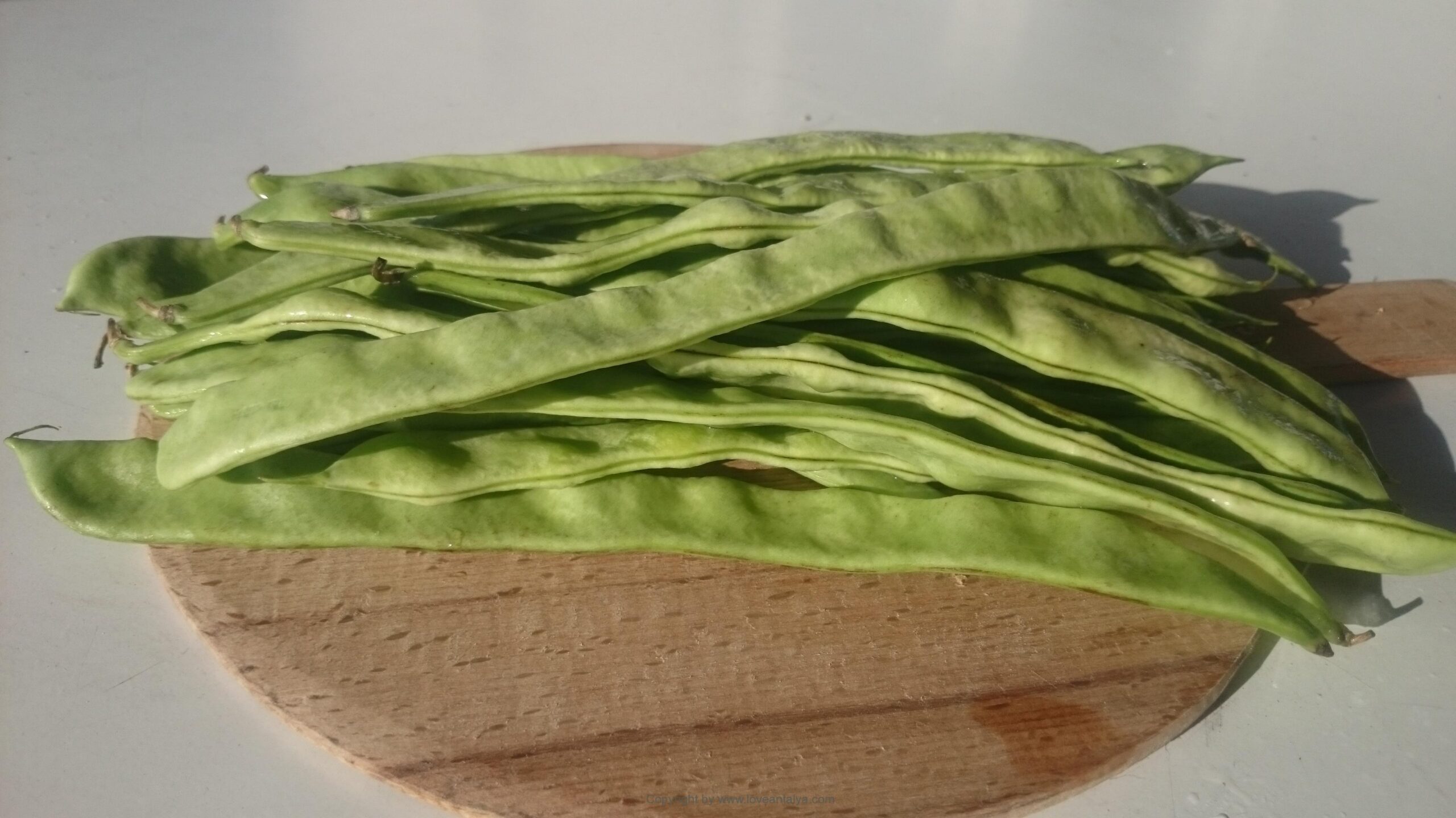 Fresh green bean salad Turkish at its best Love Antalya