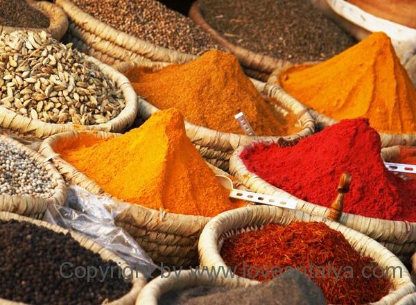 Spices